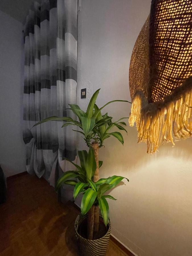 טריאסטה Sunway Apartment מראה חיצוני תמונה